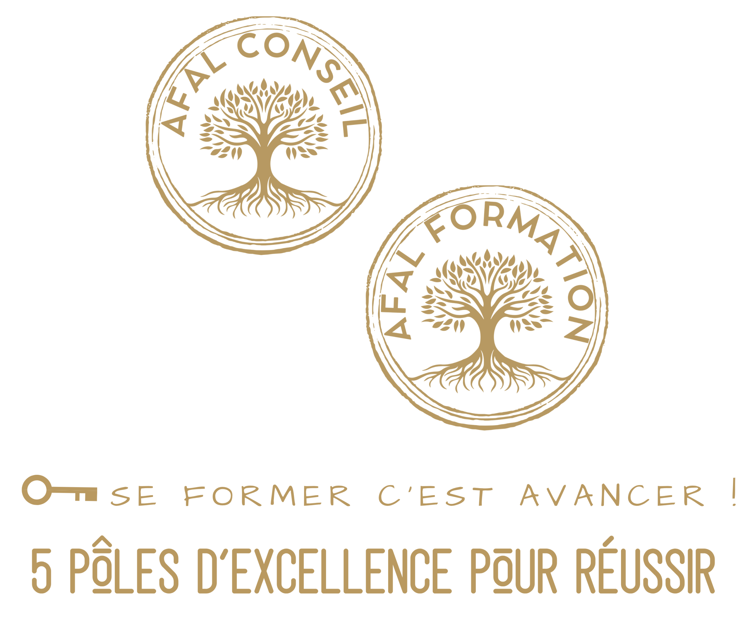 AFAL CONSEIL